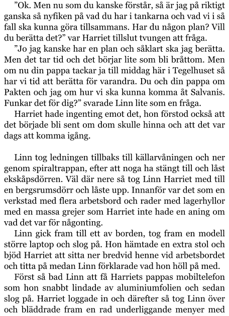 ”Ok. Men nu som du kanske förstår, så är jag på riktigt ganska så nyfiken på vad du har i tankarna och vad vi i så fall ska kunna göra tillsammans. Har du någon plan? Vill du berätta det?” var Harriet tillslut tvungen att fråga. ”Jo jag kanske har en plan och såklart ska jag berätta. Men det tar tid och det börjar lite som bli bråttom. Men om nu din pappa tackar ja till middag här i Tegelhuset så har vi tid att berätta för varandra. Du och din pappa om Pakten och jag om hur vi ska kunna komma åt Salvanis. Funkar det för dig?” svarade Linn lite som en fråga. Harriet hade ingenting emot det, hon förstod också att det började bli sent om dom skulle hinna och att det var dags att komma igång.  Linn tog ledningen tillbaks till källarvåningen och ner genom spiraltrappan, efter att noga ha stängt till och låst ekskåpsdörren. Väl där nere så tog Linn Harriet med till en bergsrumsdörr och låste upp. Innanför var det som en verkstad med flera arbetsbord och rader med lagerhyllor med en massa grejer som Harriet inte hade en aning om vad det var för någonting. Linn gick fram till ett av borden, tog fram en modell större laptop och slog på. Hon hämtade en extra stol och bjöd Harriet att sitta ner bredvid henne vid arbetsbordet och titta på medan Linn förklarade vad hon höll på med. Först så bad Linn att få Harriets pappas mobiltelefon som hon snabbt lindade av aluminiumfolien och sedan slog på. Harriet loggade in och därefter så tog Linn över och bläddrade fram en rad underliggande menyer med