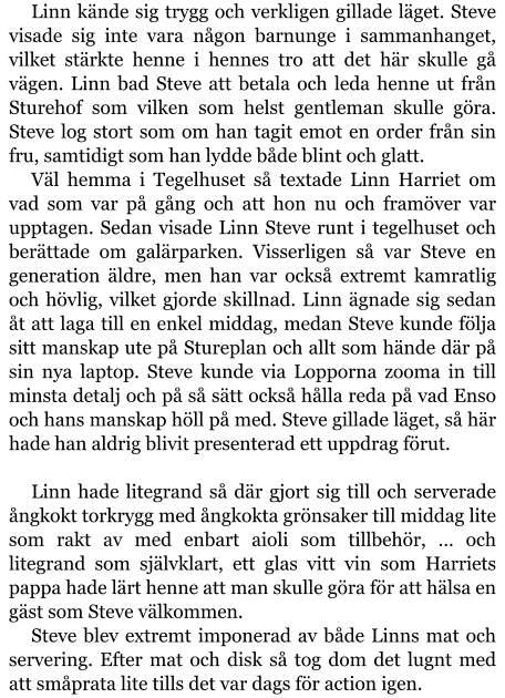 Linn kände sig trygg och verkligen gillade läget. Steve visade sig inte vara någon barnunge i sammanhanget, vilket stärkte henne i hennes tro att det här skulle gå vägen. Linn bad Steve att betala och leda henne ut från Sturehof som vilken som helst gentleman skulle göra. Steve log stort som om han tagit emot en order från sin fru, samtidigt som han lydde både blint och glatt. Väl hemma i Tegelhuset så textade Linn Harriet om vad som var på gång och att hon nu och framöver var upptagen. Sedan visade Linn Steve runt i tegelhuset och berättade om galärparken. Visserligen så var Steve en generation äldre, men han var också extremt kamratlig och hövlig, vilket gjorde skillnad. Linn ägnade sig sedan åt att laga till en enkel middag, medan Steve kunde följa sitt manskap ute på Stureplan och allt som hände där på sin nya laptop. Steve kunde via Lopporna zooma in till minsta detalj och på så sätt också hålla reda på vad Enso och hans manskap höll på med. Steve gillade läget, så här hade han aldrig blivit presenterad ett uppdrag förut.  Linn hade litegrand så där gjort sig till och serverade ångkokt torkrygg med ångkokta grönsaker till middag lite som rakt av med enbart aioli som tillbehör, … och litegrand som självklart, ett glas vitt vin som Harriets pappa hade lärt henne att man skulle göra för att hälsa en gäst som Steve välkommen. Steve blev extremt imponerad av både Linns mat och servering. Efter mat och disk så tog dom det lugnt med att småprata lite tills det var dags för action igen.