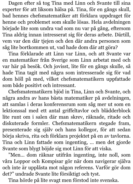 Dagen efter så tog Tina med Linn och Svante till sina experter för att liksom hälsa på. Tina, för en gångs skull, bad hennes chefsmatematiker att förklara uppdraget för henne och problemet som skulle lösas. Hela avdelningen började lite som undra vad som nu var på gång, eftersom Tina aldrig innan intresserat sig för deras arbete. Därtill, vem var den där tjejen och den där andra personen som såg lite bortkommen ut, vad hade dom där att göra? Tina förklarade att Linn var Linn, och att Svante var en matematiker från Sverige som Linn arbetat med och var här på besök. Och jovisst, lite för en gångs skulle, så hade Tina tagit med några som intresserade sig för vad dom höll på med, vilket chefsmatematikern uppfattade som både positivt och intressant. Chefsmatematikern bjöd in Tina, Linn och Svante, och några andra av hans bästa matematiker på avdelningen, att samlas i deras konferensrum som såg mer ut som en lektionssal med ett antal griffeltavlor och blädderblock lite runt om i salen där man skrev, räknade, ritade och diskuterade formler. Chefsmatematikern stegade fram, presenterade sig själv och hans kollegor, för att sedan börja skriva, rita och förklara projektet på en av tavlorna. Tina och Linn fattade som ingenting, … men det gjorde Svante som blygt böjde sig mot Linn för att viska. ”Men… dom räknar utifrån ingenting, inte noll, som våra Loppor och Kompisar gör när dom navigerar själva och inte är upplåsta mot någon referens. Varför gör dom det?” undrade Svante lite försiktigt och tyst. Tina hörde på lite svagt men förstod inte svenska.